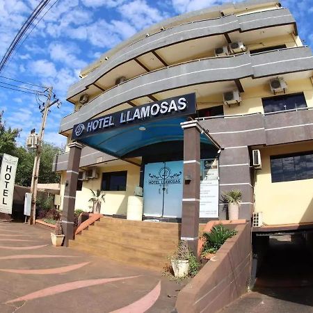 Hotel Llamosas Ciudad del Este Luaran gambar